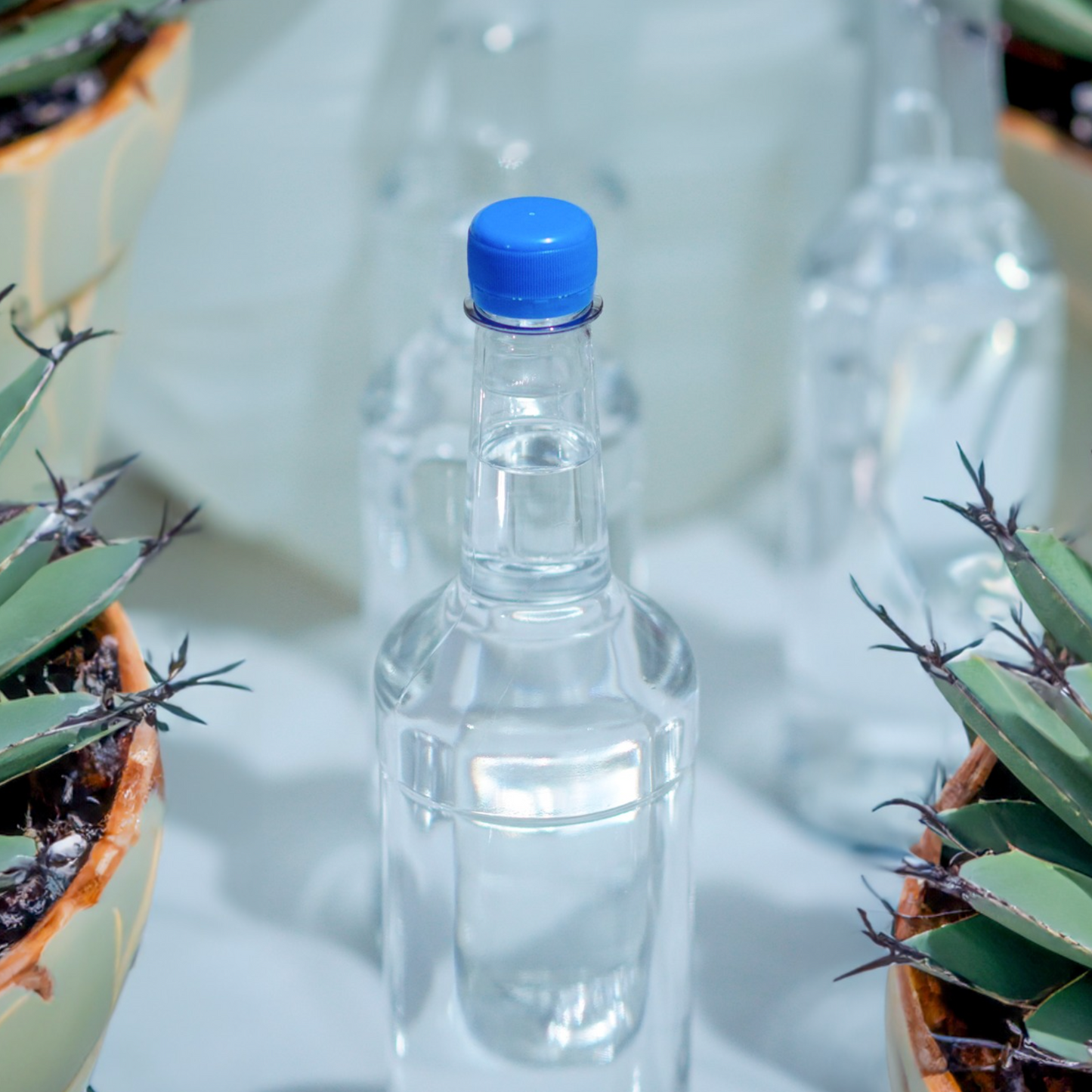 Cupreata Original de Etúcuaro Presentación Simple