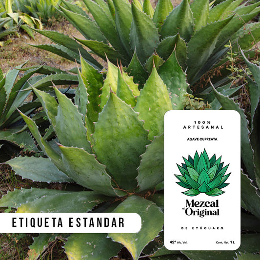 Cupreata Original de Etúcuaro Presentación Etiqueta Estandar